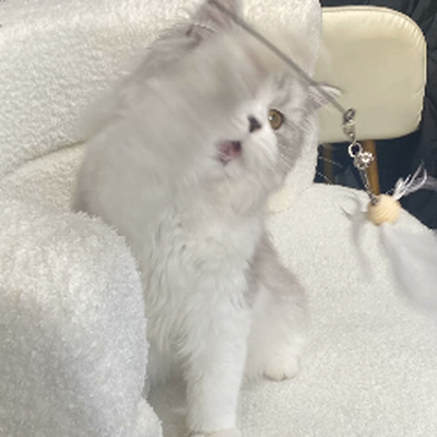 金陵科技学院开源社团-姜戎辉